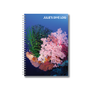 Pink Soft Coral