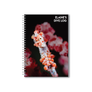 Orange Pygmy Seahorse