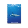 Caribbean Reef Shark