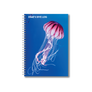 Pink Sea Nettle
