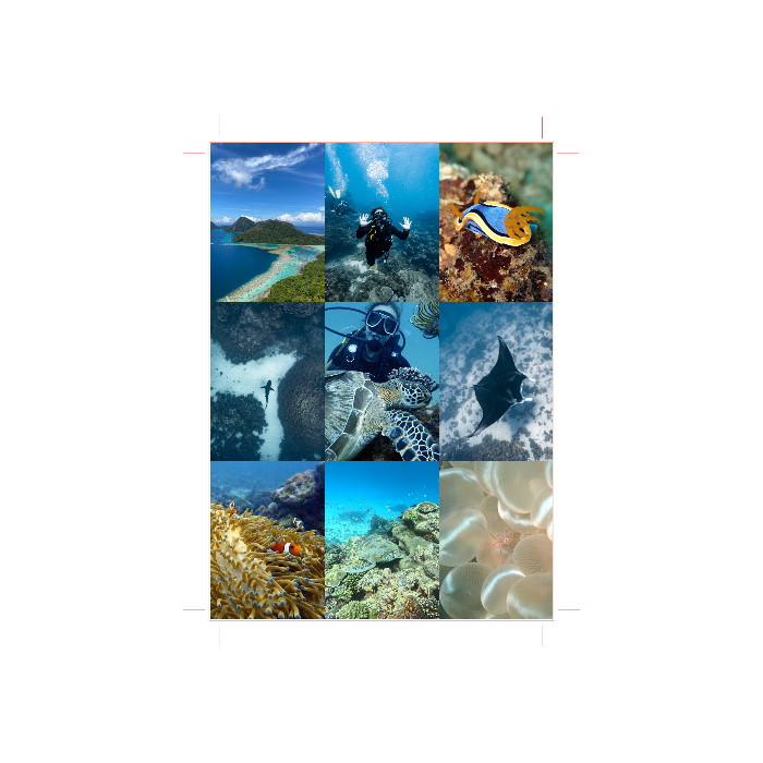Custom Scuba Log Book - Online Designer