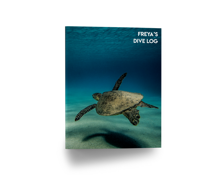 Turtle Customised Folder
