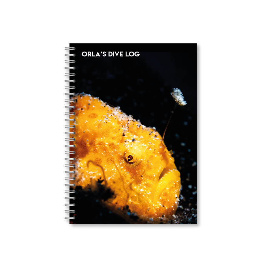 Yellow Frogfish with Lure