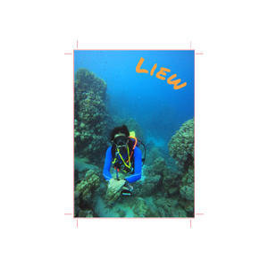 Custom Scuba Log Book - Online Designer