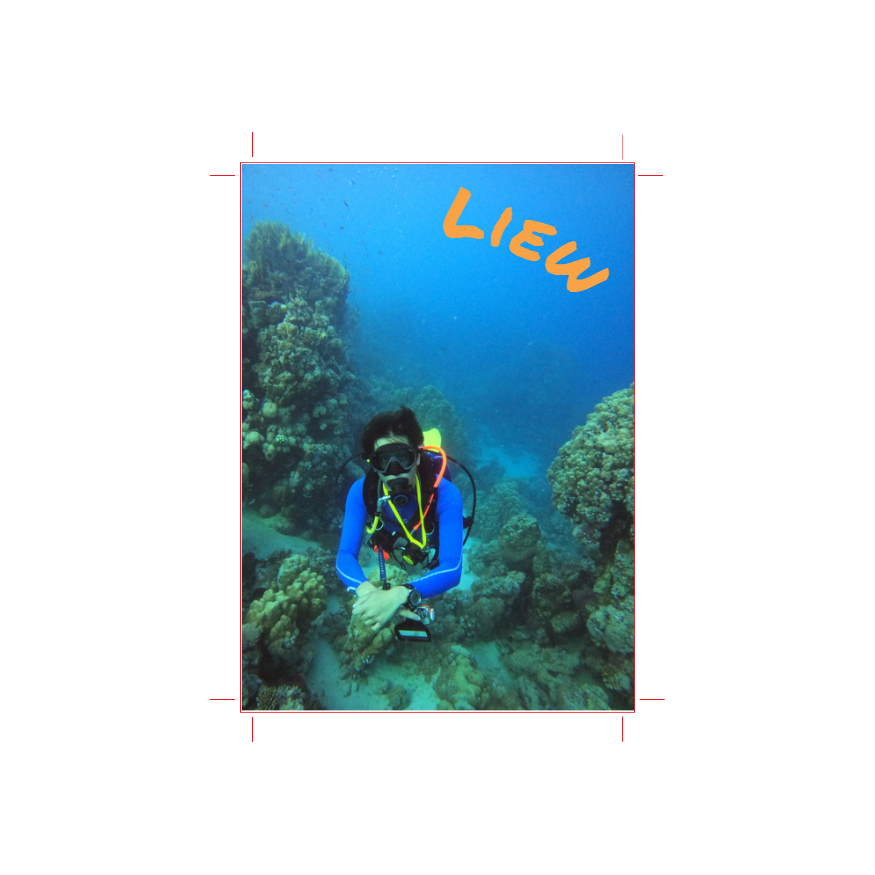 Custom Scuba Log Book - Online Designer